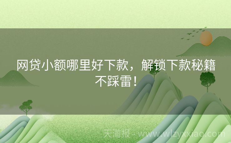 网贷小额哪里好下款，解锁下款秘籍不踩雷！