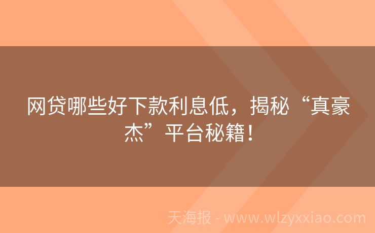 网贷哪些好下款利息低，揭秘“真豪杰”平台秘籍！