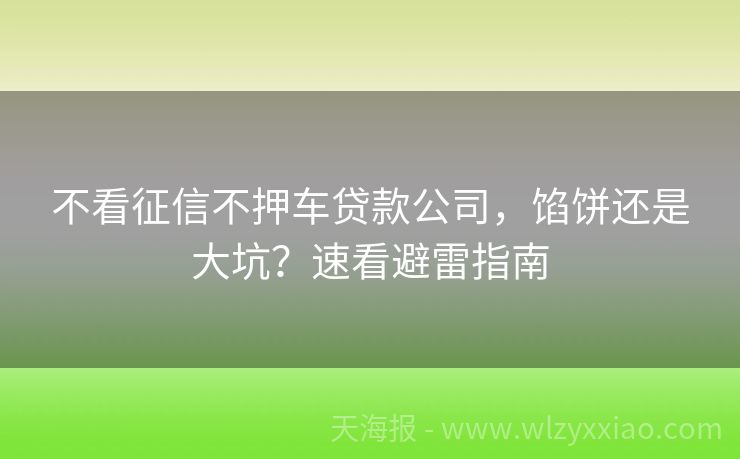 不看征信不押车贷款公司，馅饼还是大坑？速看避雷指南