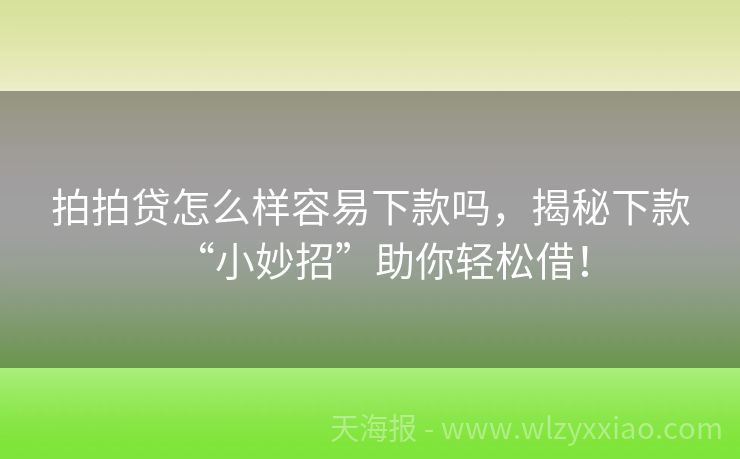 拍拍贷怎么样容易下款吗，揭秘下款“小妙招”助你轻松借！