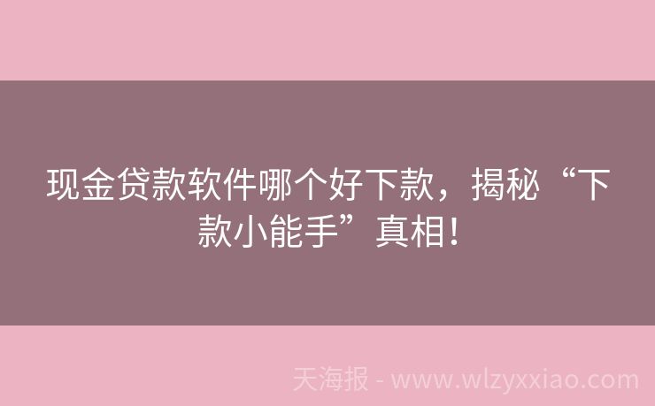 现金贷款软件哪个好下款，揭秘“下款小能手”真相！