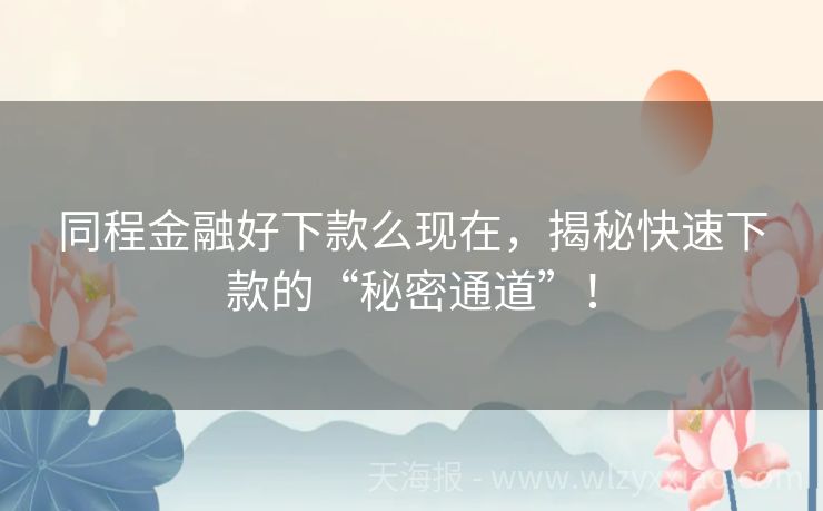同程金融好下款么现在，揭秘快速下款的“秘密通道”！