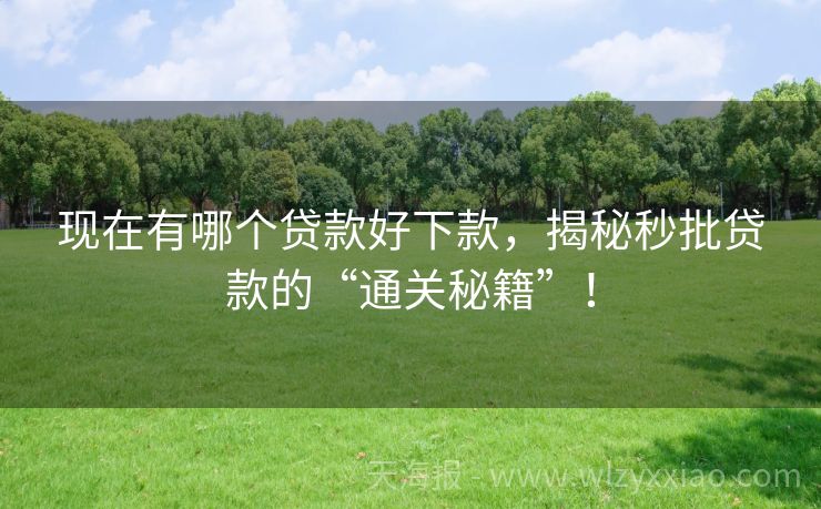 现在有哪个贷款好下款，揭秘秒批贷款的“通关秘籍”！