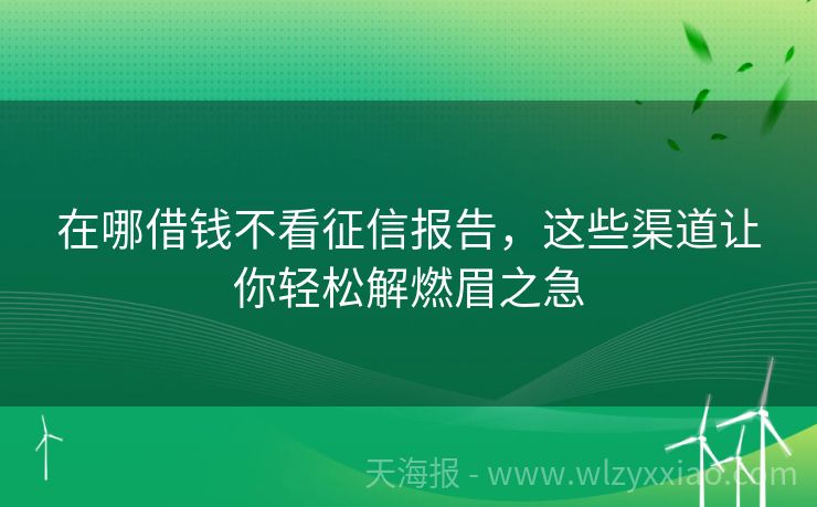 在哪借钱不看征信报告，这些渠道让你轻松解燃眉之急