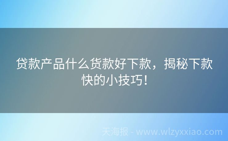 贷款产品什么货款好下款，揭秘下款快的小技巧！