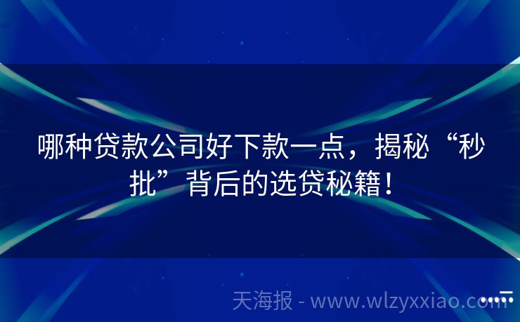 哪种贷款公司好下款一点，揭秘“秒批”背后的选贷秘籍！