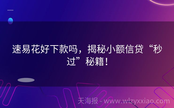 速易花好下款吗，揭秘小额信贷“秒过”秘籍！