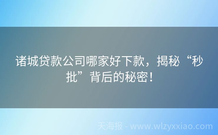 诸城贷款公司哪家好下款，揭秘“秒批”背后的秘密！