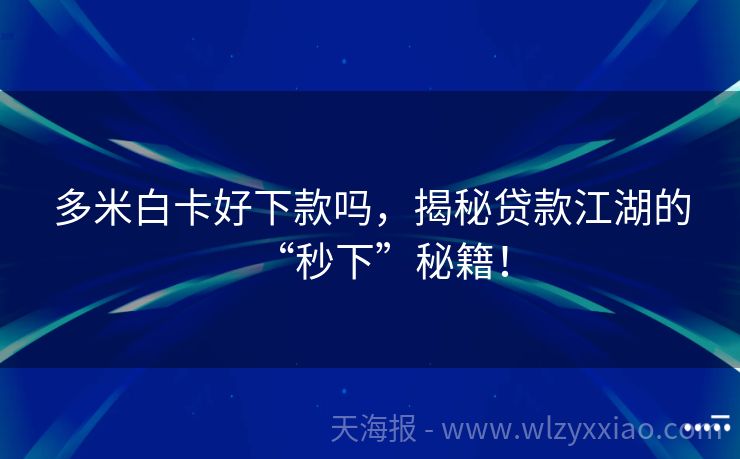 多米白卡好下款吗，揭秘贷款江湖的“秒下”秘籍！
