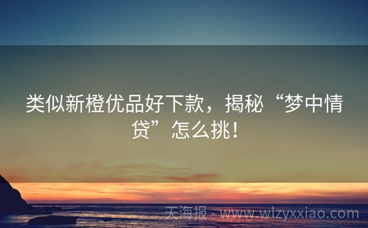 类似新橙优品好下款，揭秘“梦中情贷”怎么挑！