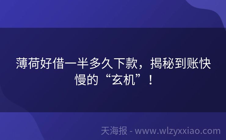 薄荷好借一半多久下款，揭秘到账快慢的“玄机”！