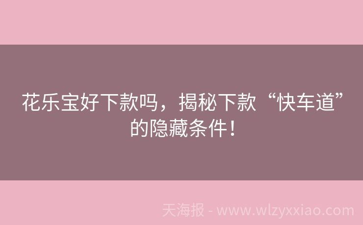 花乐宝好下款吗，揭秘下款“快车道”的隐藏条件！