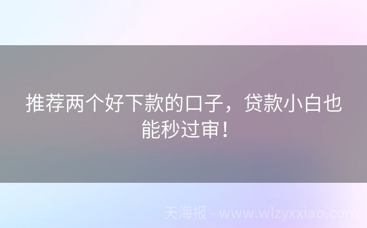推荐两个好下款的口子，贷款小白也能秒过审！