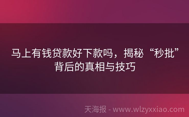 马上有钱贷款好下款吗，揭秘“秒批”背后的真相与技巧