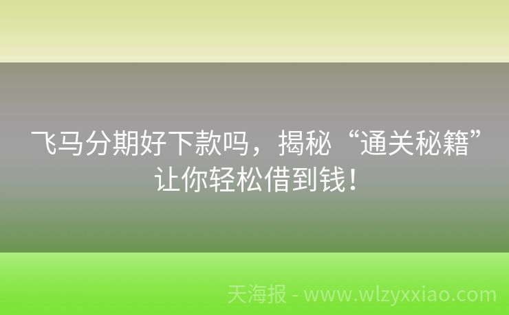 飞马分期好下款吗，揭秘“通关秘籍”让你轻松借到钱！