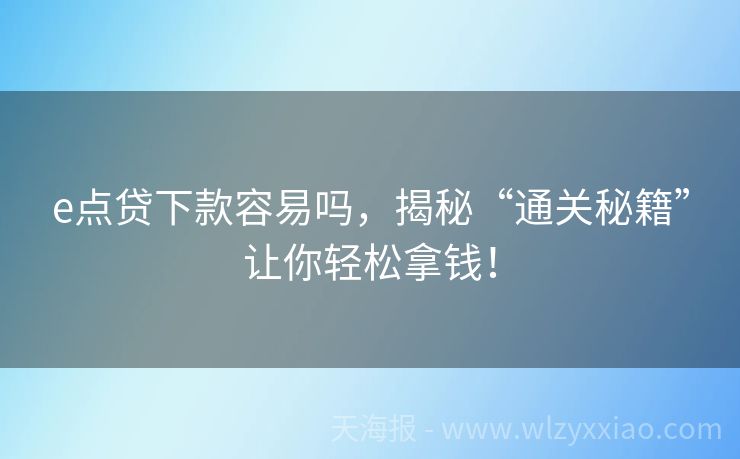 e点贷下款容易吗，揭秘“通关秘籍”让你轻松拿钱！