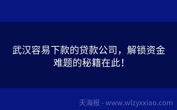 武汉容易下款的贷款公司，解锁资金难题的秘籍在此！