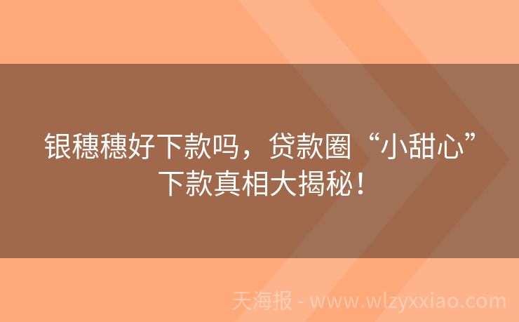 银穗穗好下款吗，贷款圈“小甜心”下款真相大揭秘！