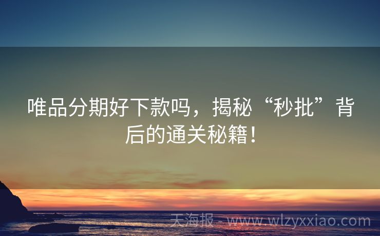 唯品分期好下款吗，揭秘“秒批”背后的通关秘籍！