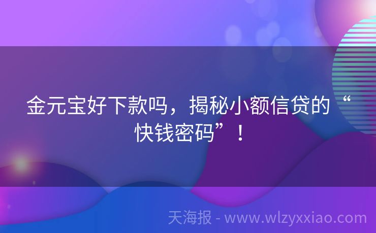 金元宝好下款吗，揭秘小额信贷的“快钱密码”！