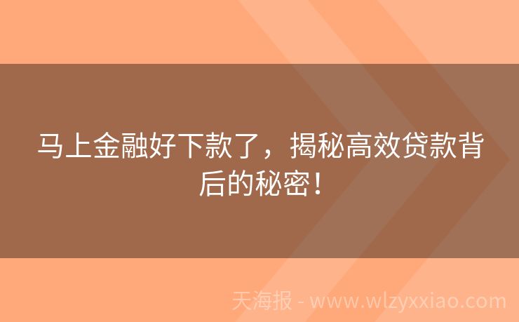 马上金融好下款了，揭秘高效贷款背后的秘密！