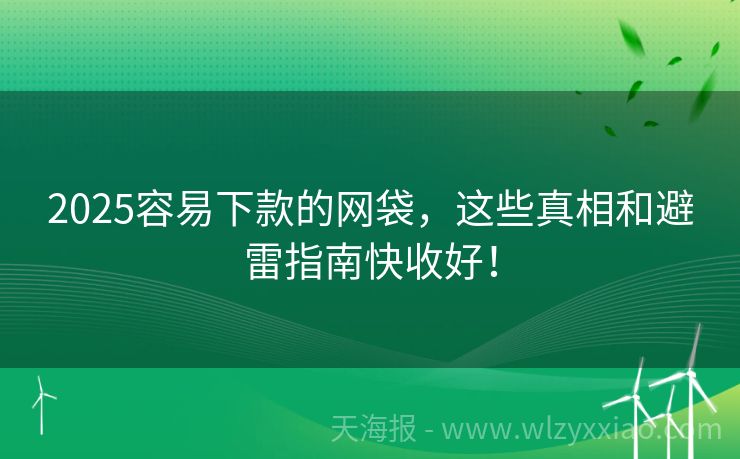 2025容易下款的网袋，这些真相和避雷指南快收好！