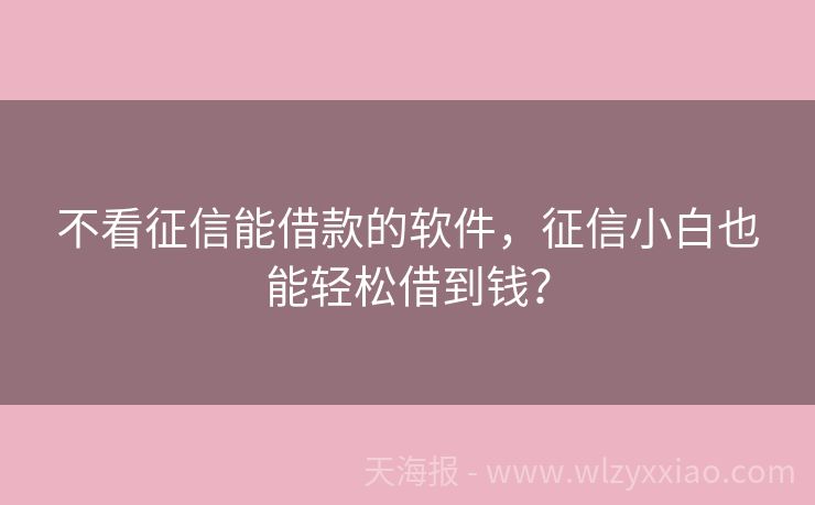 不看征信能借款的软件，征信小白也能轻松借到钱？