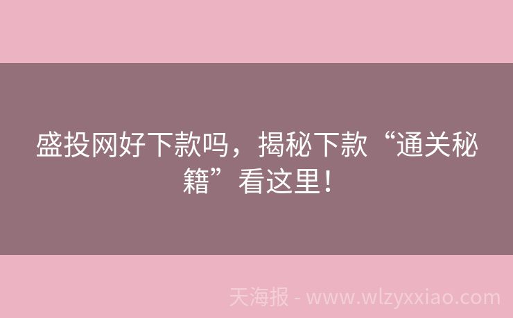 盛投网好下款吗，揭秘下款“通关秘籍”看这里！