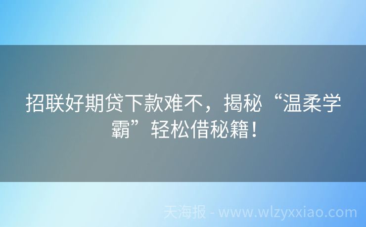 招联好期贷下款难不，揭秘“温柔学霸”轻松借秘籍！
