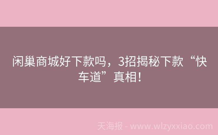 闲巢商城好下款吗，3招揭秘下款“快车道”真相！