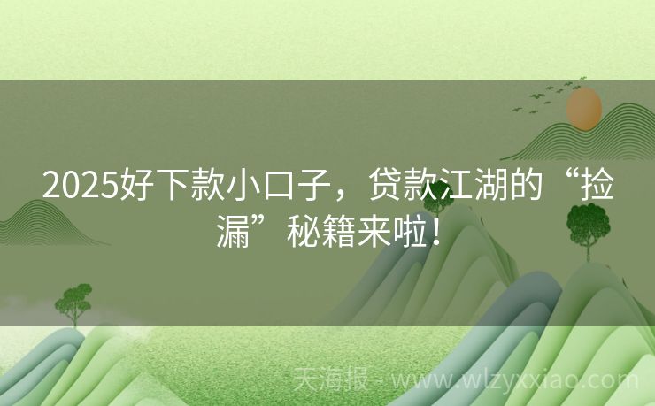 2025好下款小口子，贷款江湖的“捡漏”秘籍来啦！