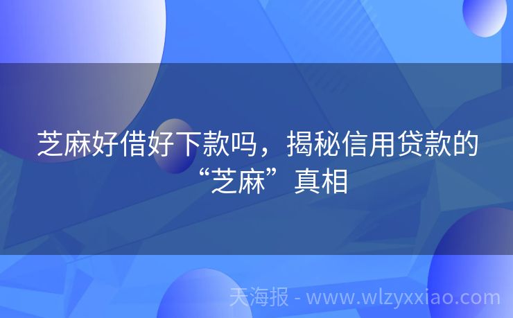 芝麻好借好下款吗，揭秘信用贷款的“芝麻”真相