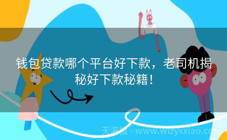 钱包贷款哪个平台好下款，老司机揭秘好下款秘籍！