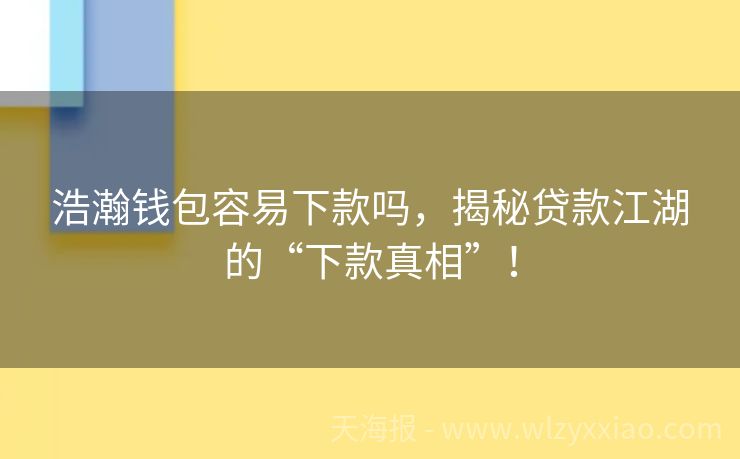 浩瀚钱包容易下款吗，揭秘贷款江湖的“下款真相”！
