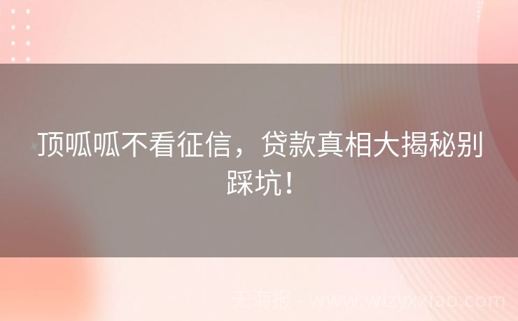 顶呱呱不看征信，贷款真相大揭秘别踩坑！
