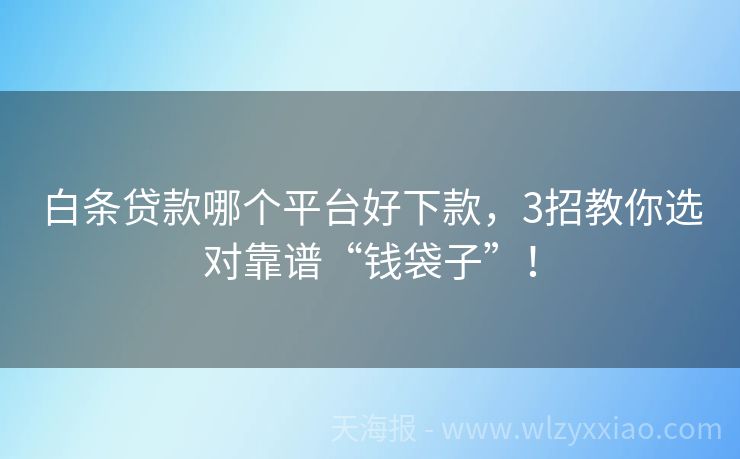 白条贷款哪个平台好下款，3招教你选对靠谱“钱袋子”！
