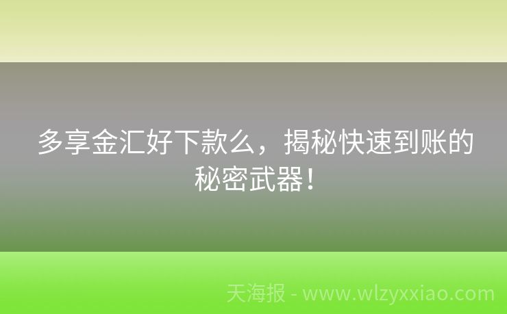 多享金汇好下款么，揭秘快速到账的秘密武器！