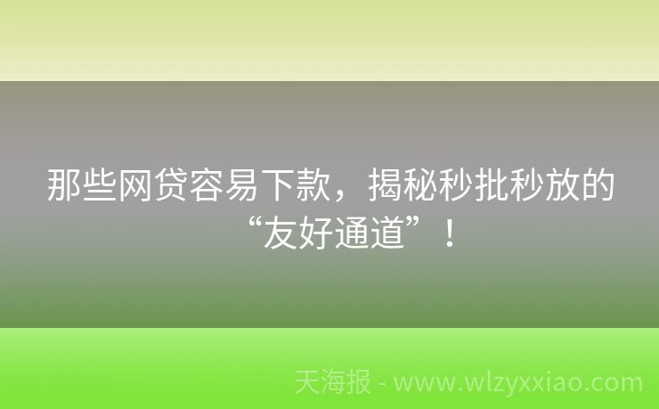 那些网贷容易下款，揭秘秒批秒放的“友好通道”！