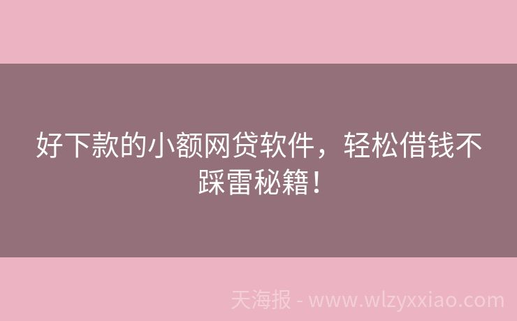 好下款的小额网贷软件，轻松借钱不踩雷秘籍！