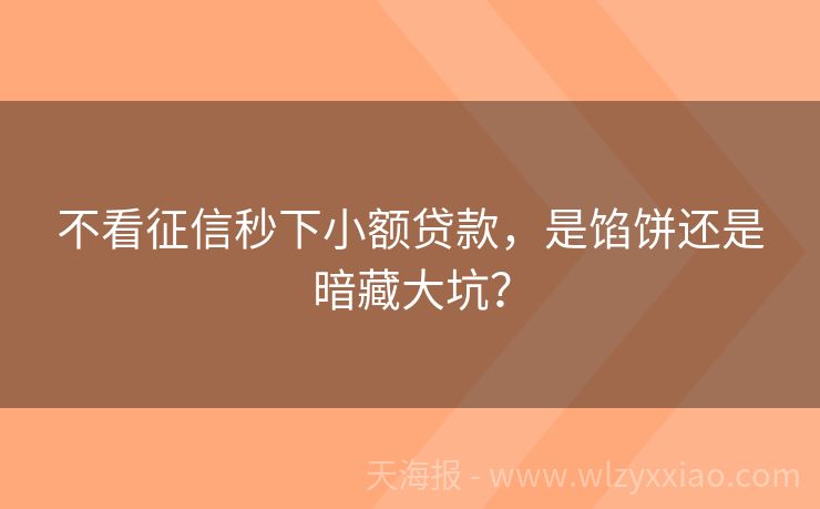 不看征信秒下小额贷款，是馅饼还是暗藏大坑？