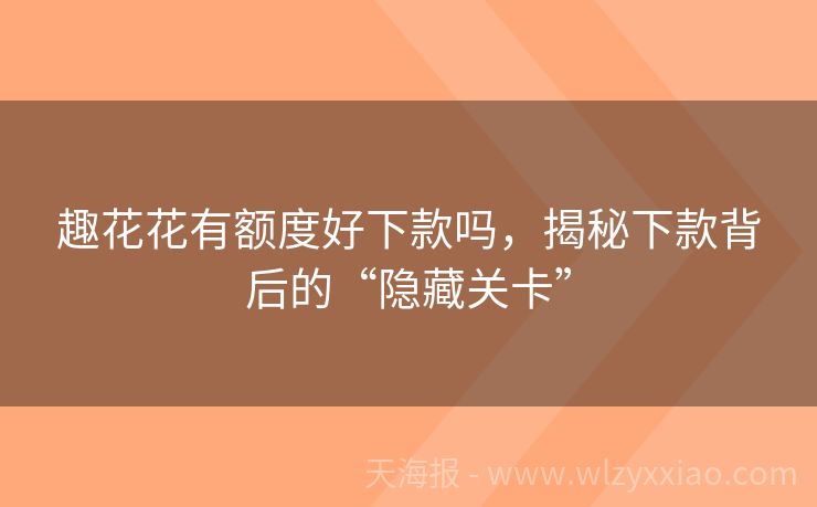 趣花花有额度好下款吗，揭秘下款背后的“隐藏关卡”