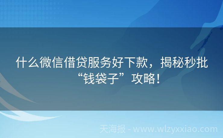 什么微信借贷服务好下款，揭秘秒批“钱袋子”攻略！