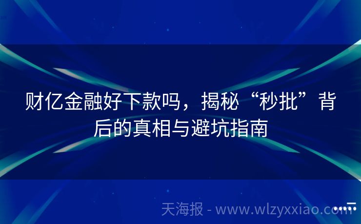 财亿金融好下款吗，揭秘“秒批”背后的真相与避坑指南