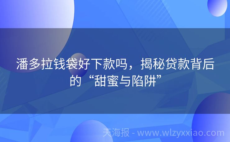 潘多拉钱袋好下款吗，揭秘贷款背后的“甜蜜与陷阱”