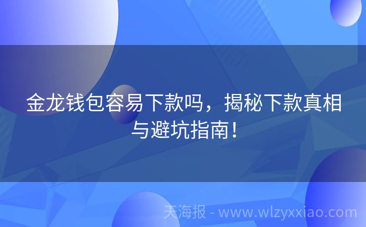 金龙钱包容易下款吗，揭秘下款真相与避坑指南！