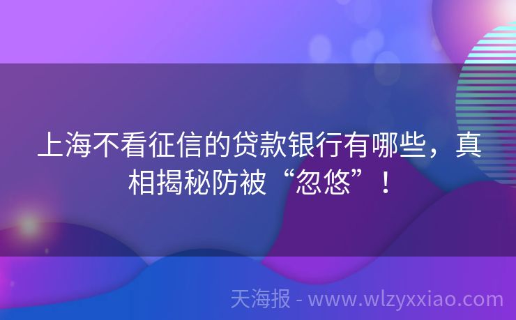 上海不看征信的贷款银行有哪些，真相揭秘防被“忽悠”！