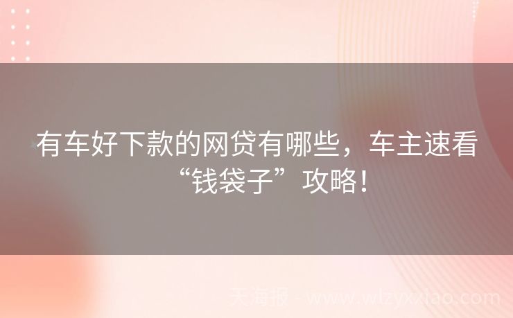 有车好下款的网贷有哪些，车主速看“钱袋子”攻略！