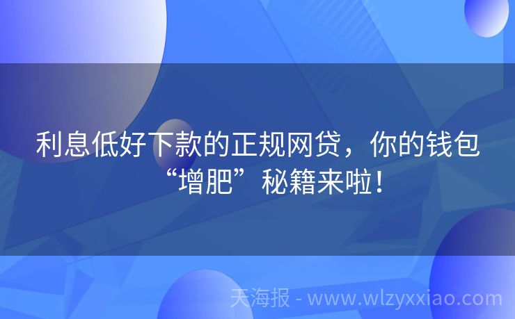 利息低好下款的正规网贷，你的钱包“增肥”秘籍来啦！