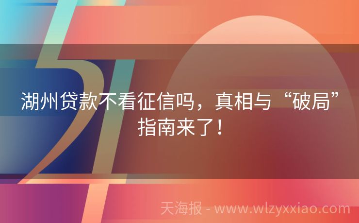 湖州贷款不看征信吗，真相与“破局”指南来了！