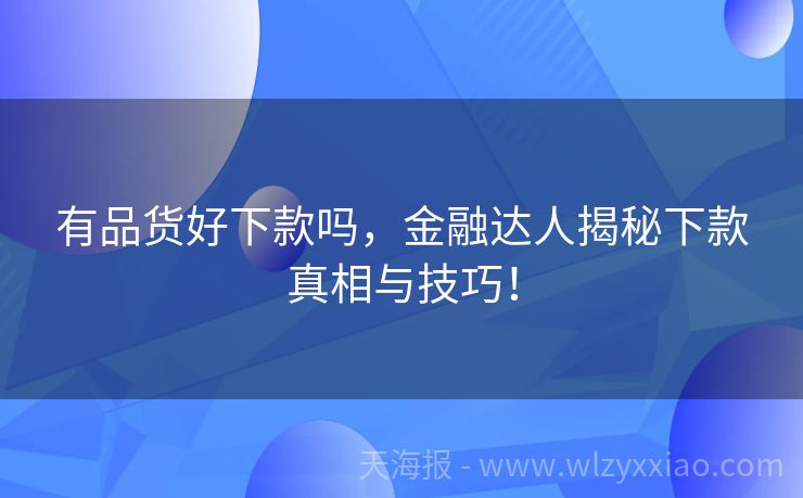 有品货好下款吗，金融达人揭秘下款真相与技巧！